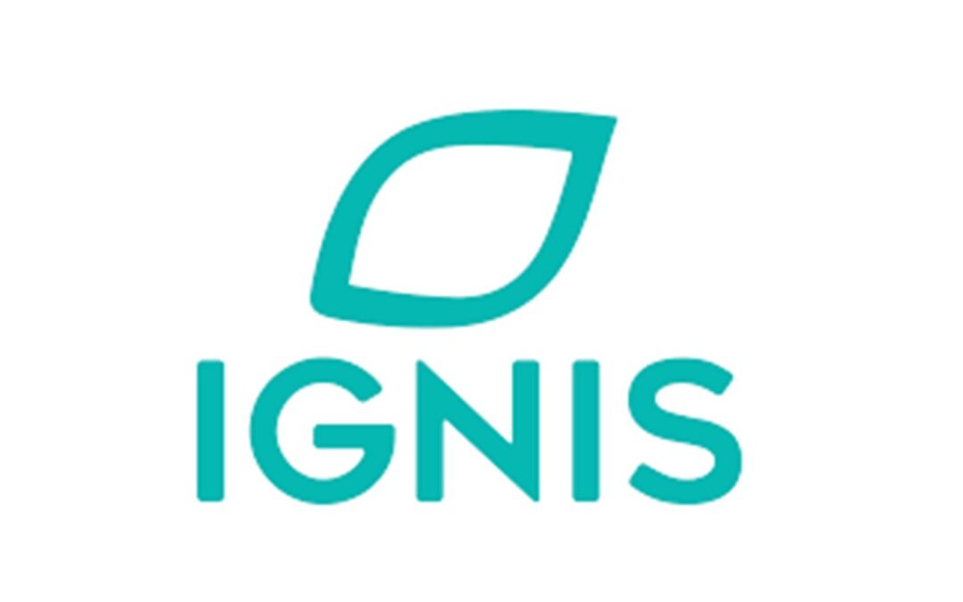 IGNIS ENERGÍA
