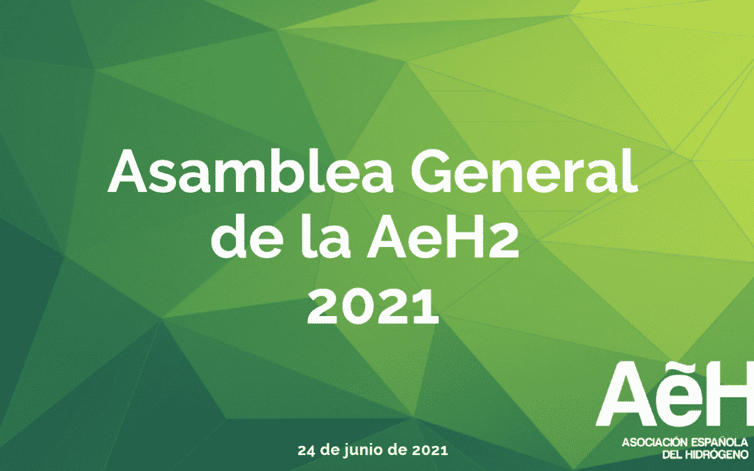 Celebrada la Asamblea General anual de la AeH2 2021